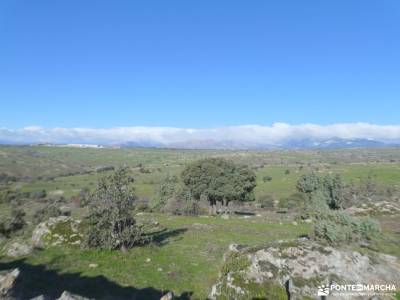 Caminos y Dehesas de Colmenar Viejo; grupo de gente para salir por madrid viajes comunidad de madrid